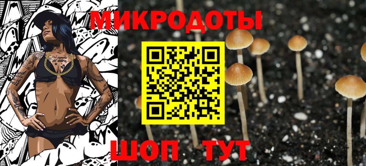 Галлюциногенные грибы мухоморы Жуковский