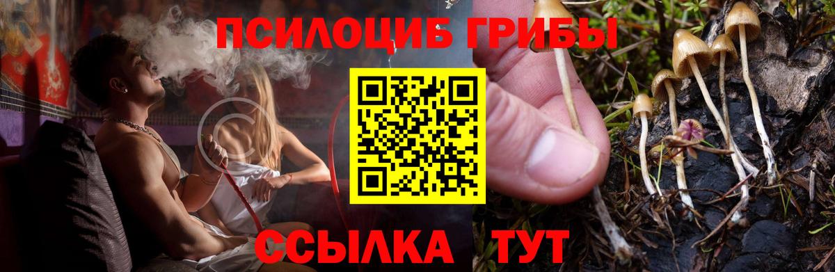 Галлюциногенные грибы MAGIC MUSHROOMS  Вход с VPN  Галлюциногенные грибы ЛСД  Жуковский 